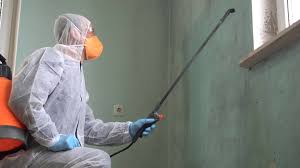 Best Mold Prevention Services  in White Sulphur Springs, MT